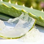 jak skuteczny jest aloes na oparzenia
